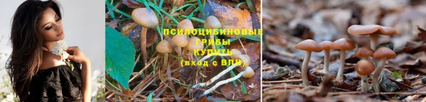 кокаин VHQ Магадан