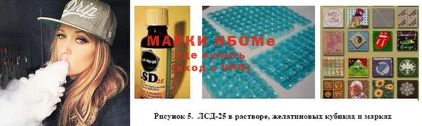 ECSTASY Белокуриха