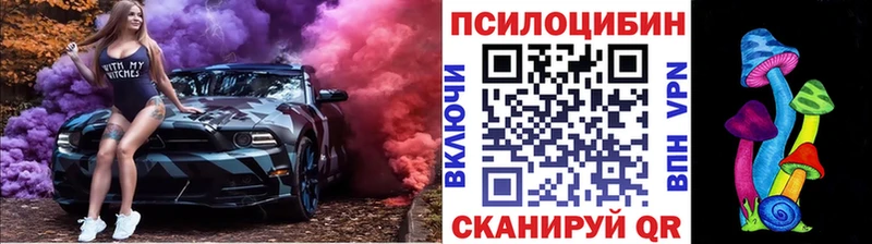 Галлюциногенные грибы Psilocybine cubensis  Хвалынск 